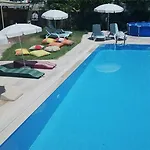 Zeus Turunç